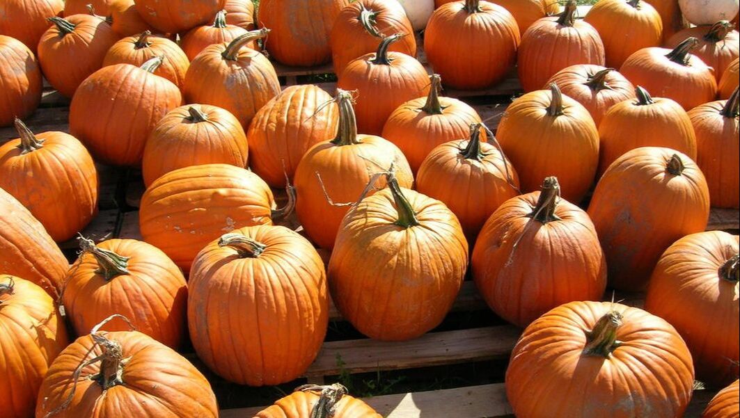 Picture of pumpkins